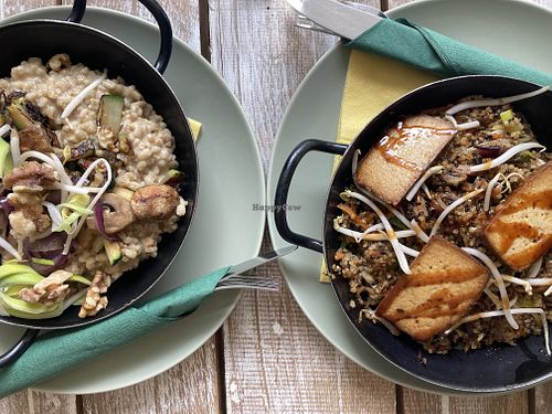 Cauliflower risotto and asian style tofu and quinoa   at Veggiezz - Am Salzgriess in Vienna