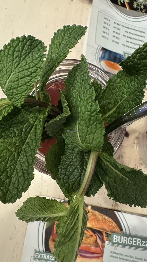   at Veggiezz - Am Salzgriess in Vienna