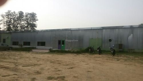 Once you enter Farm 15 at Spaghetti and Samosas in New Delhi