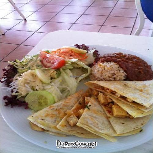 Quesadillas (vegan) at Effulgence-Waves in Heidelberg