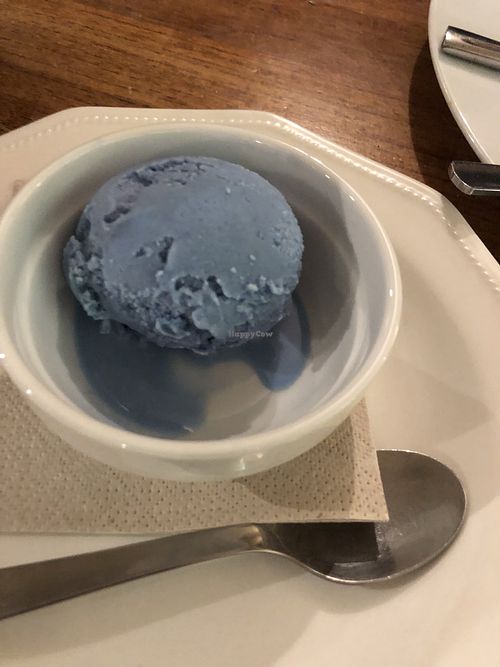 Vanilla and spirulina ice cream at Compost in Mallorca