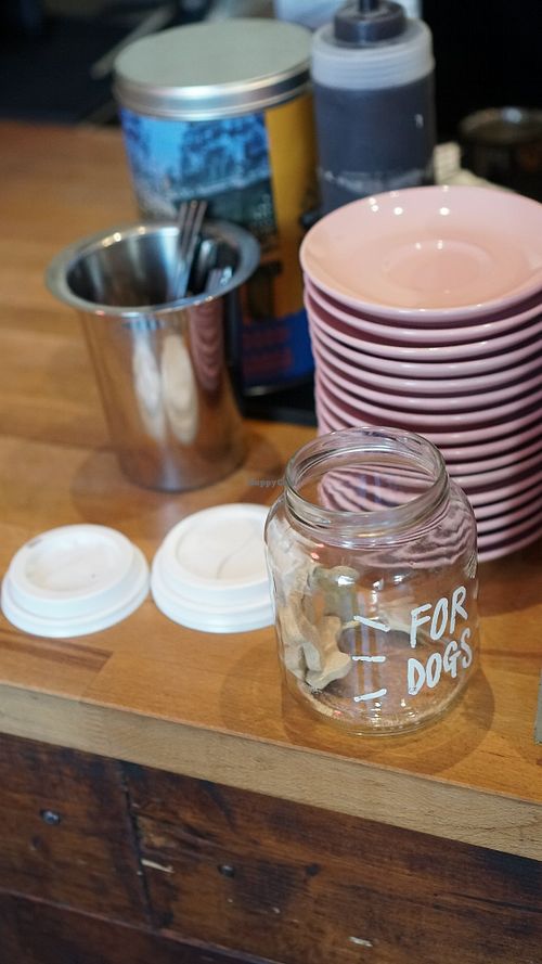 For dogs at Brammibal's Donuts - Maybachufer in Berlin