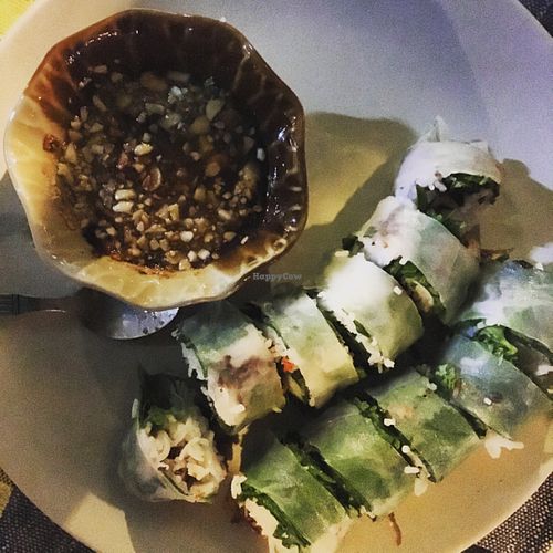 Fresh Spring Rolls. Amazing at Mayomwhan Nat's Kitchen in Koh Lanta