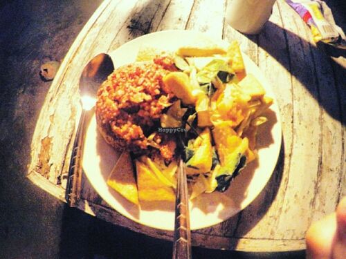 mixed vegetable tofu with organic red rice  at EasyPower in Chumphon