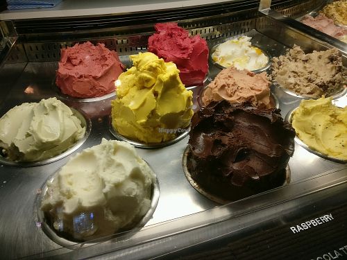 all da vegan flavours!  at Gelato Messina in Fitzroy
