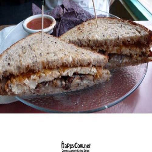 tofu sandwich at Zephyr Vegetarian Cafe in Long Beach