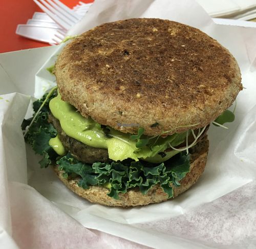 black bean burger at Purple Sprout Conscious Organics in Buffalo Grove