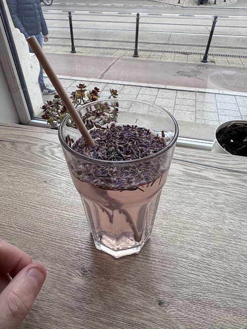 Lavender   at Vegab in Krakow