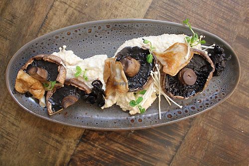 mushroom special at ExotiK in Newtown