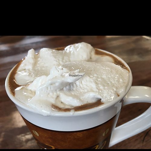 Vegan Mocha with Vegan Whip at 701 Coffee in Seattle