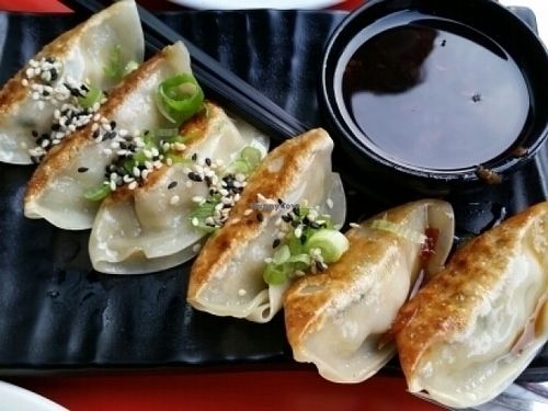 gyoza at Mildreds - Camden in North West London
