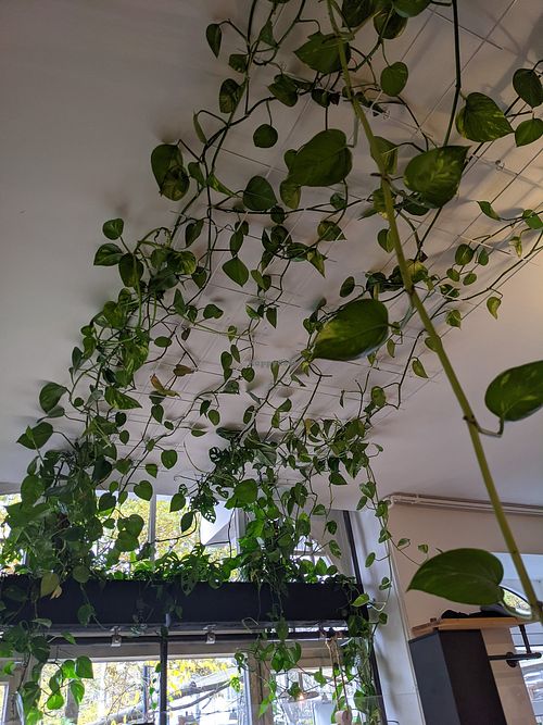 Interior at Froindlichst - Winterhude in Hamburg