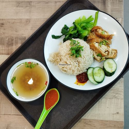 Chickenless Rice - value set with good chilli. at Daily Green 吉祥素 - Aljunied in Central Singapore