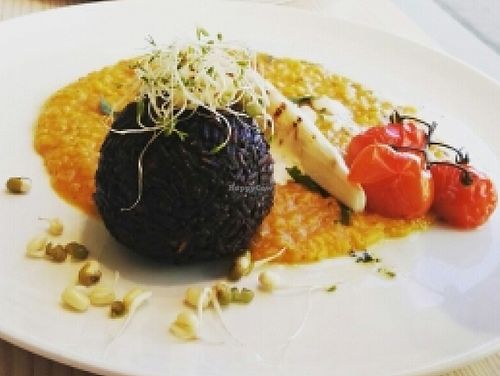 New lunch menu every day. March 2016 at Green Village in Oslo