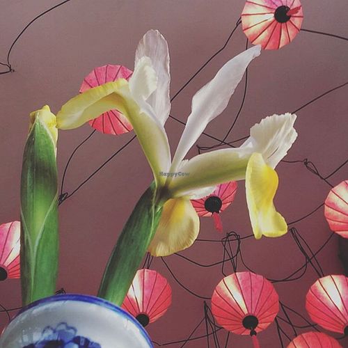 Flowers and lamps at Fei Scho in Munich