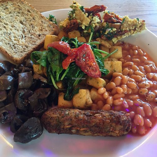 Image of The Bristolian