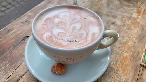 hot chocolate  at GustaV in Salzburg