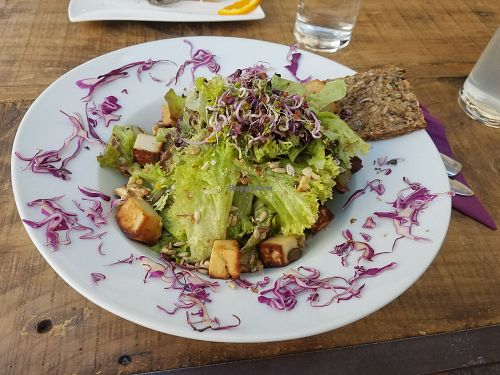 Top Vegan Restaurant Food Image