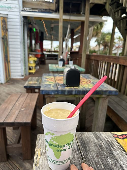 Mango colada smoothie with vegan protein #Veganuary at Stir it Up in St Augustine