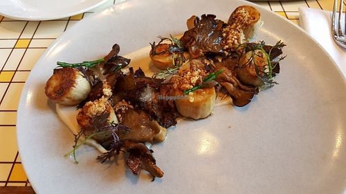 Mushroom scallops at Miss Kaplan in Tel Aviv