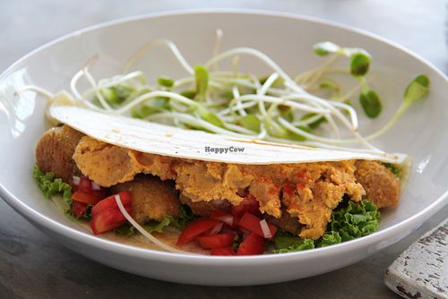 Pure falafel.  at Pure Koh Lanta in Koh Lanta