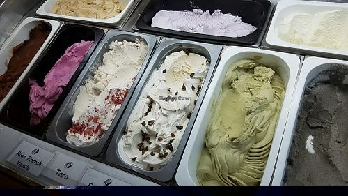 vegan ice cream at Vegan's Choice Grocery in Newtown