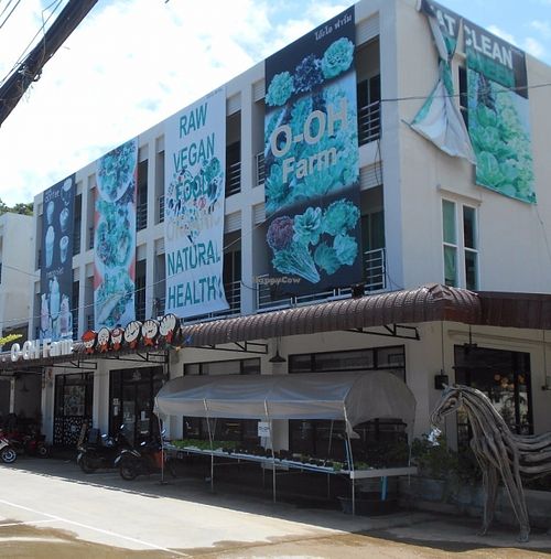 O-OH Farm Karon at O-OH Farm Karon in Phuket