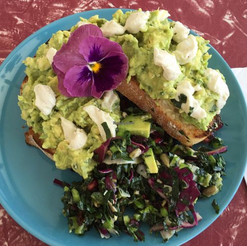 smashed avocado w/ cashew cheese  at Retro's Cafe 55 in Berwick