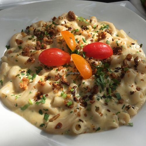 Mac n cheeze at Plantae in Tivoli