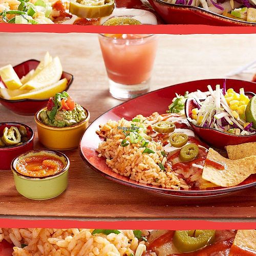 vegan enchilada at Montezuma's in Taringa