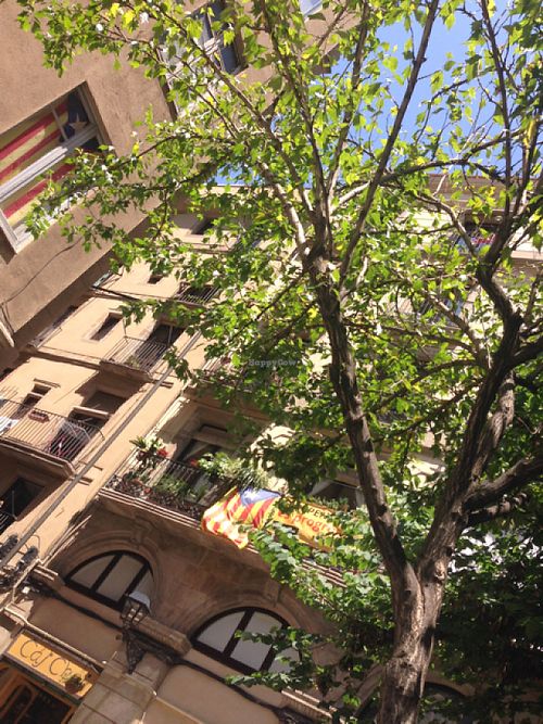 square  at Caj Chai Teahouse in Barcelona