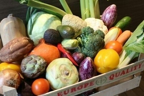 Chat-soeurs-delices at Chat-soeurs-delices in Brussels