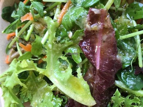 Summer salad - incredible though simple at Chaia - Georgetown in Washington