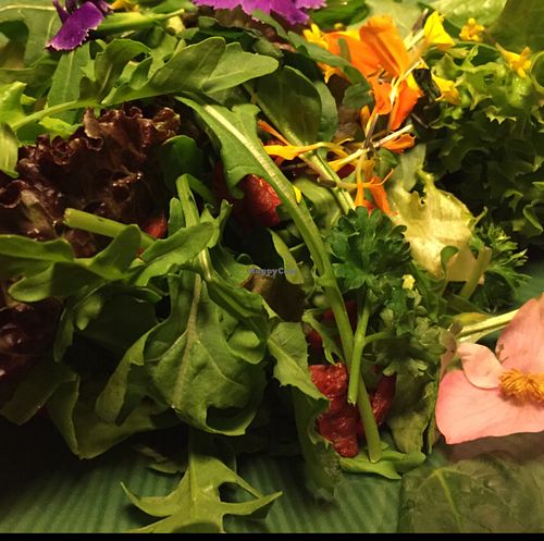 Elixiba  at Elixiba in Maroochydore