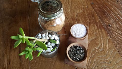 Peloton
 at Pels Supershop in Tibubeneng