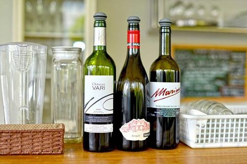 Organic wines‼︎ at Kiboko in Tokyo