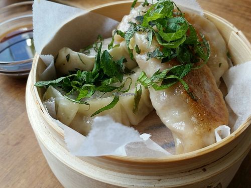 gyoza at Kiboko in Tokyo