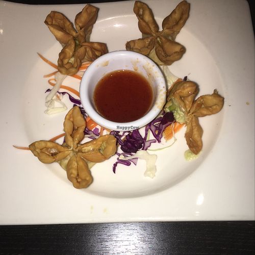 Vegan cream cheese wontons  at Veganic Thai Cafe in San Diego