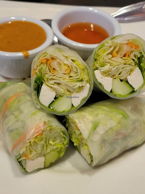 Fresh summer rolls at Veganic Thai Cafe in San Diego