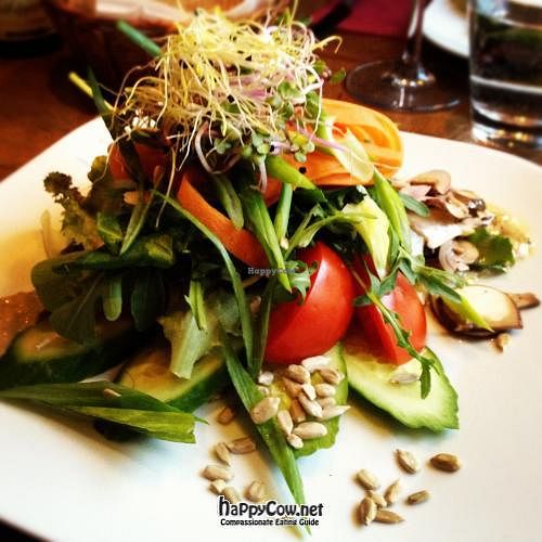 My salad at Zest in Leipzig