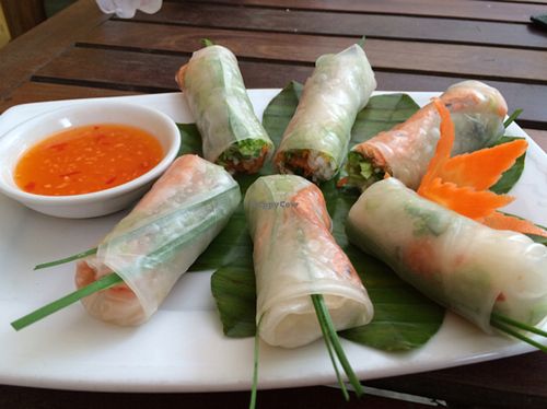 fresh spring rolls  at Hai Cafe in Hoi An