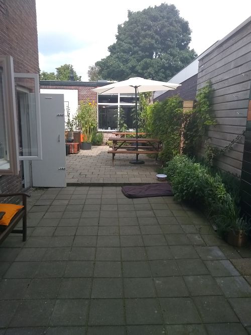 vanVeg Haarlem at vanVeg in Haarlem