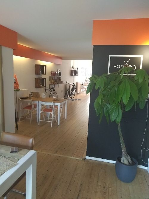 vanVeg, Haarlem at vanVeg in Haarlem