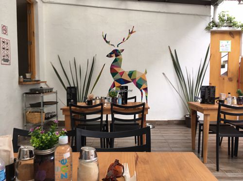 Delightful vegan place at Vegan Ville in Mexico City