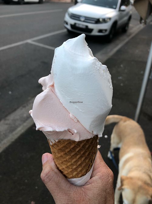 Lemon and blood orange at TuttiFrutti Artisan Gelato in Mornington
