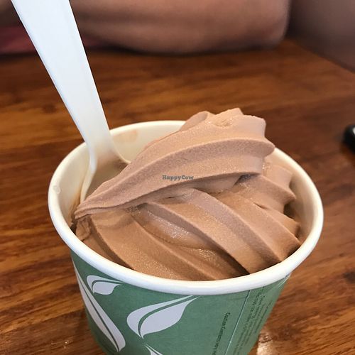 Almond milk ice cream! at Plant Power Fast Food - Ocean Beach in San Diego