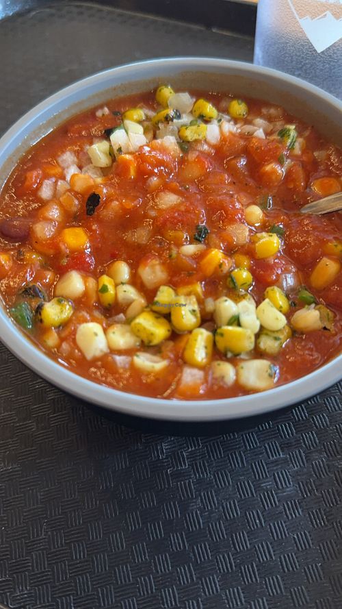   at Two Elk Lodge in Vail