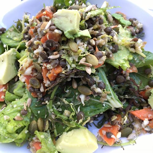 Autumn Salad at Dirt - 5th St in Miami Beach