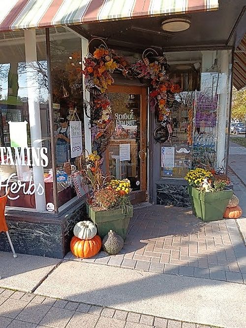 The Sprout House Natural Foods Market - Exterior - Taken from Google at The Sprout House Natural Foods Market in Grosse Pointe Park