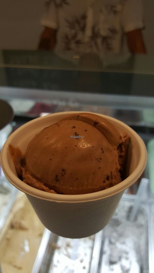 chocolate chocolate chip at Cream Crew in Mallorca